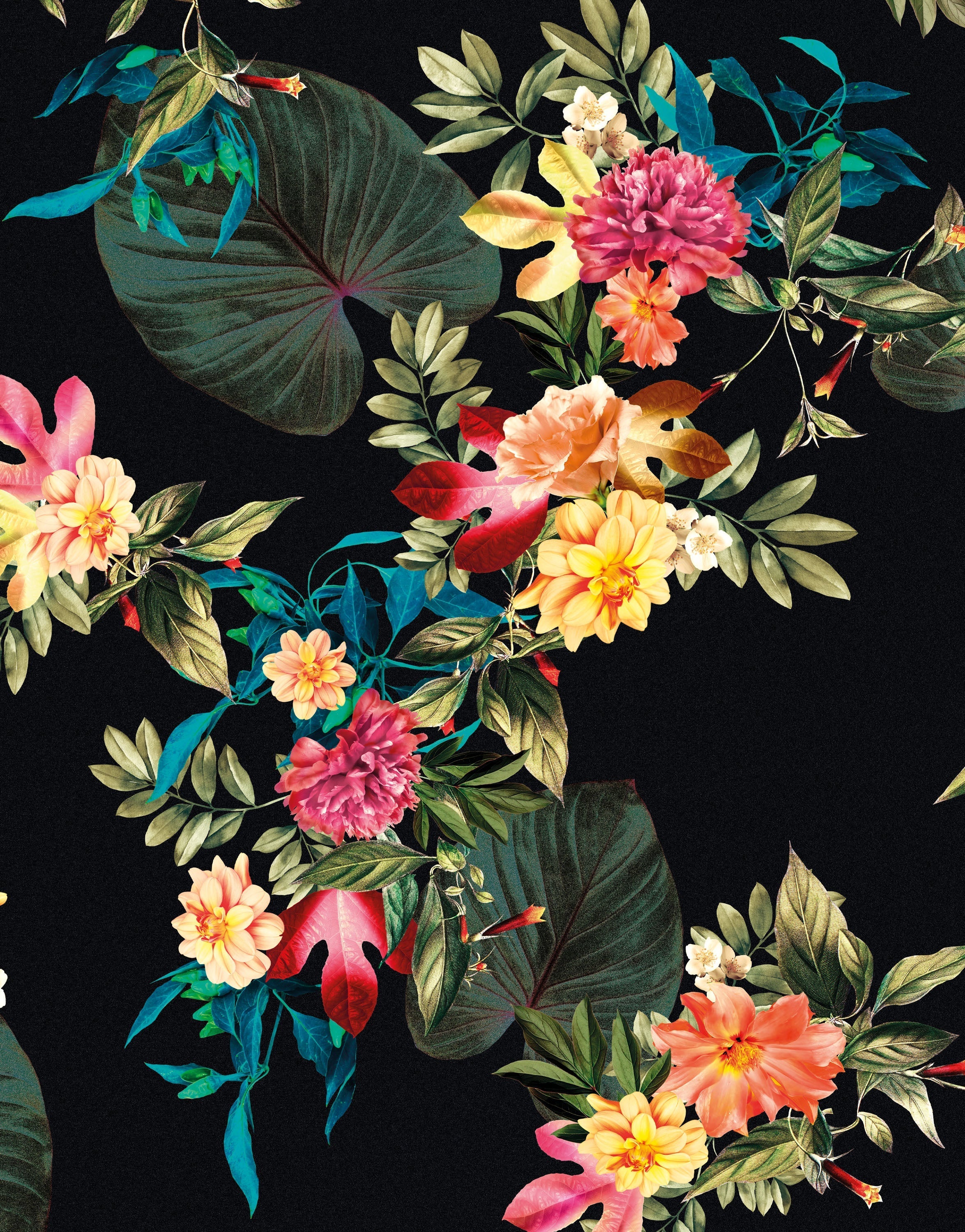 Mural de pared con flores tropicales. Fondo negro con hojas y flores botánicas del paraíso. #6372