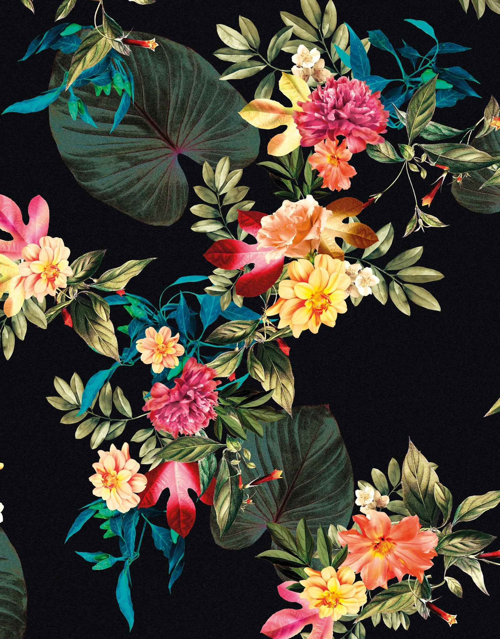 Mural de pared con flores tropicales. Fondo negro con hojas y flores botánicas del paraíso. #6372
