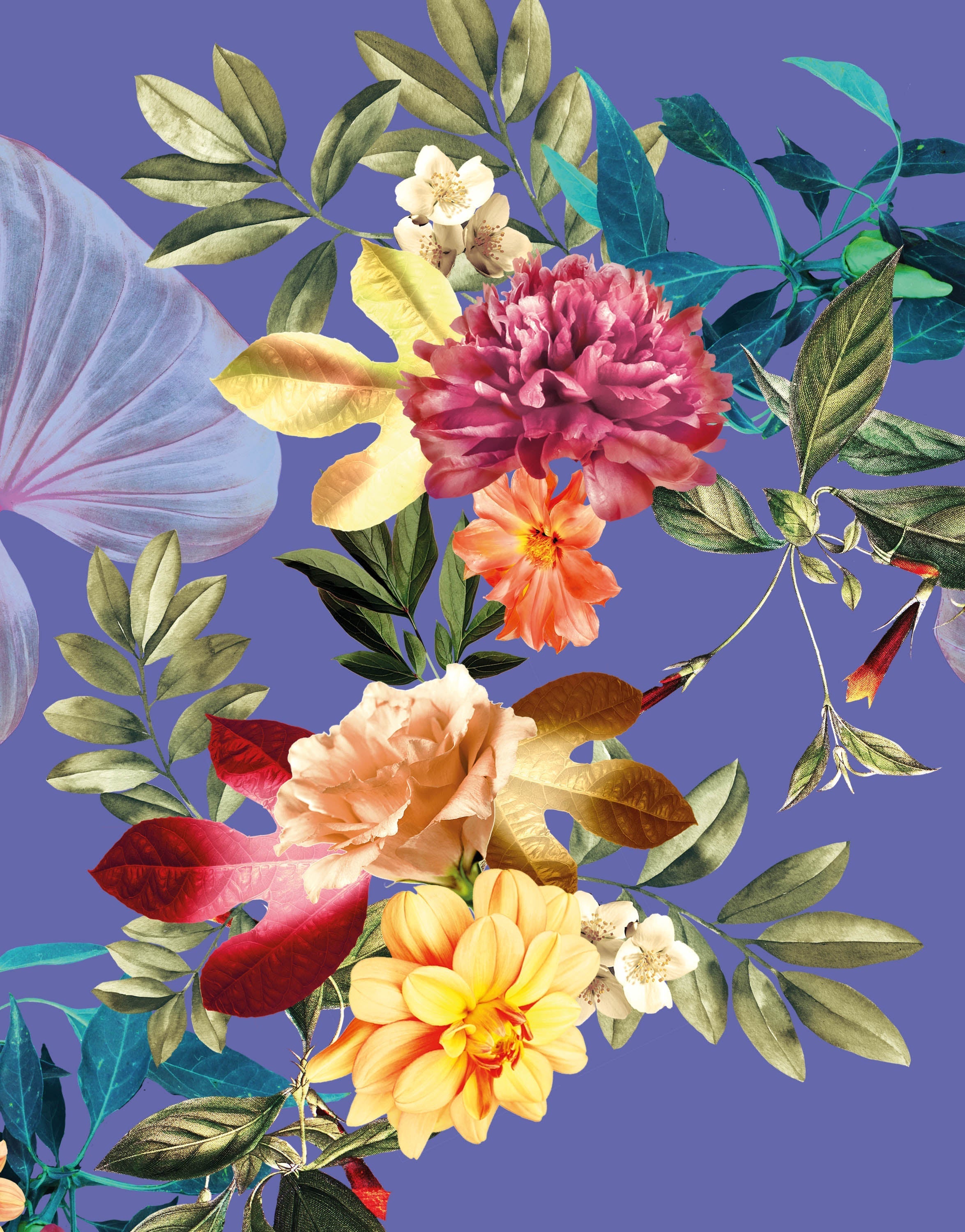 Mural de pared con flores tropicales. Flores botánicas del paraíso y hojas de color violeta muy peri. #6376