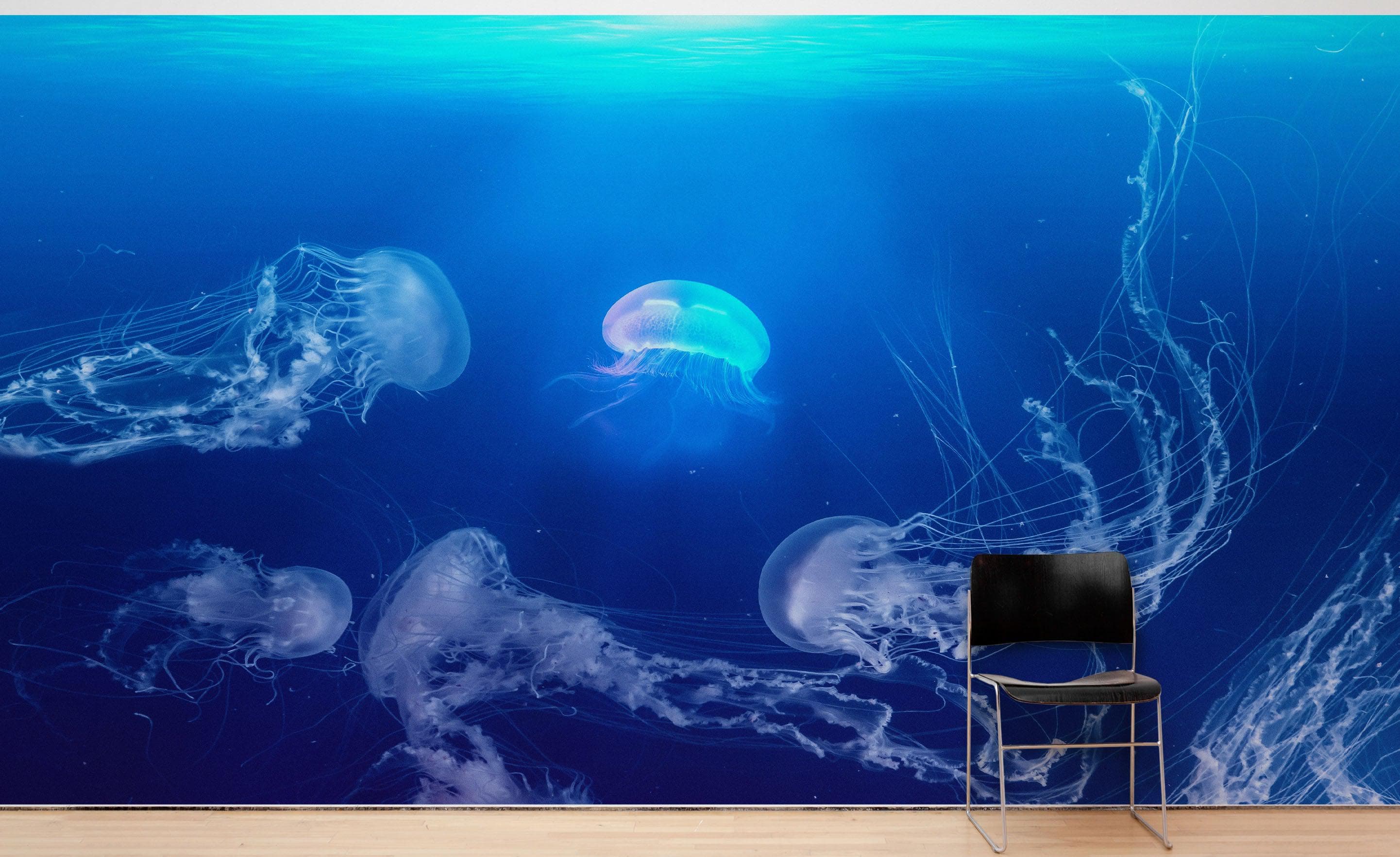 Mural de pared con medusas flotando bajo el agua. Papel tapiz autoadhesivo de océano azul intenso. #6405