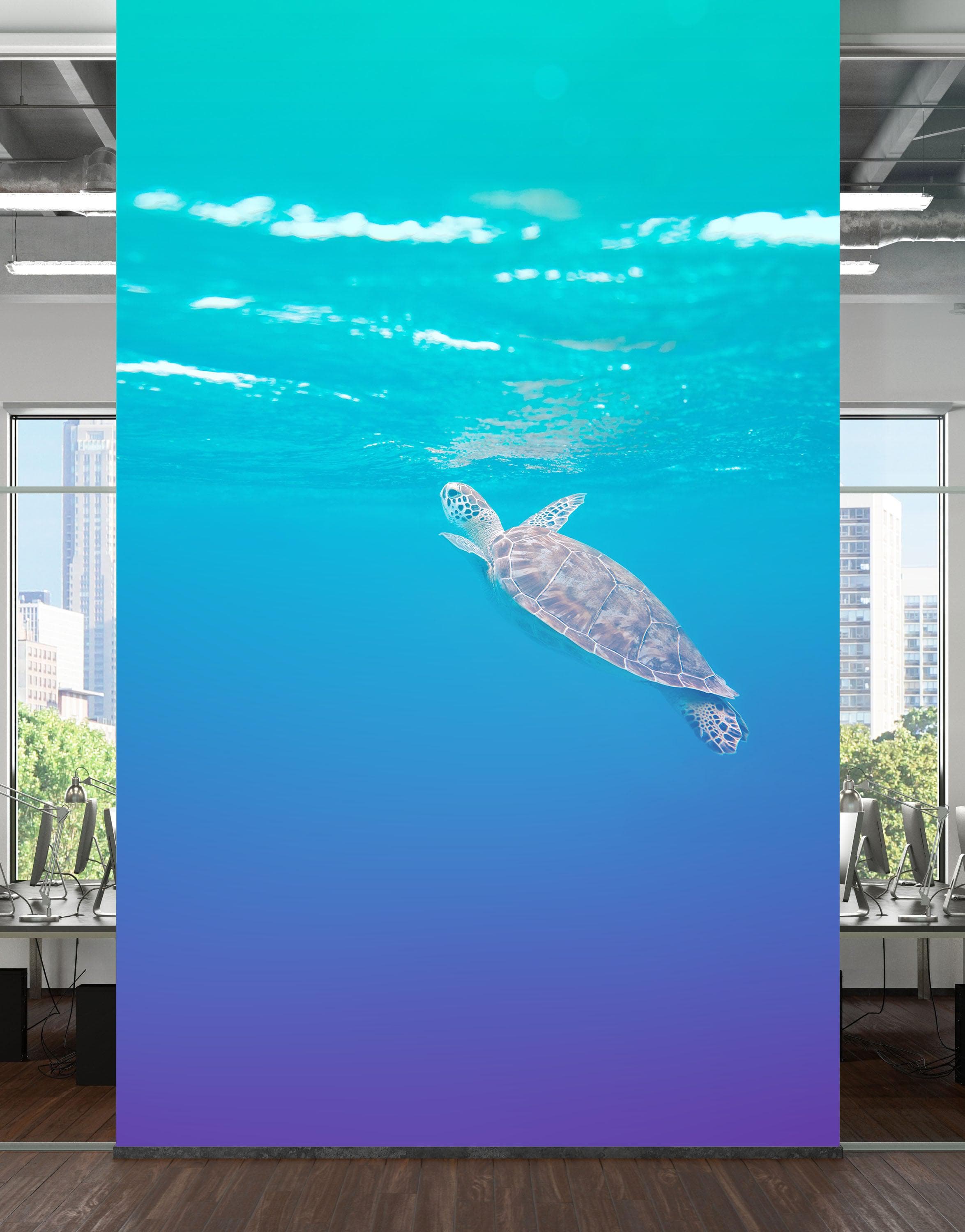 Mural de pared con tortuga marina nadando y tomando aire. Animales marinos en colores pastel. Papel tapiz autoadhesivo. N.º 6406