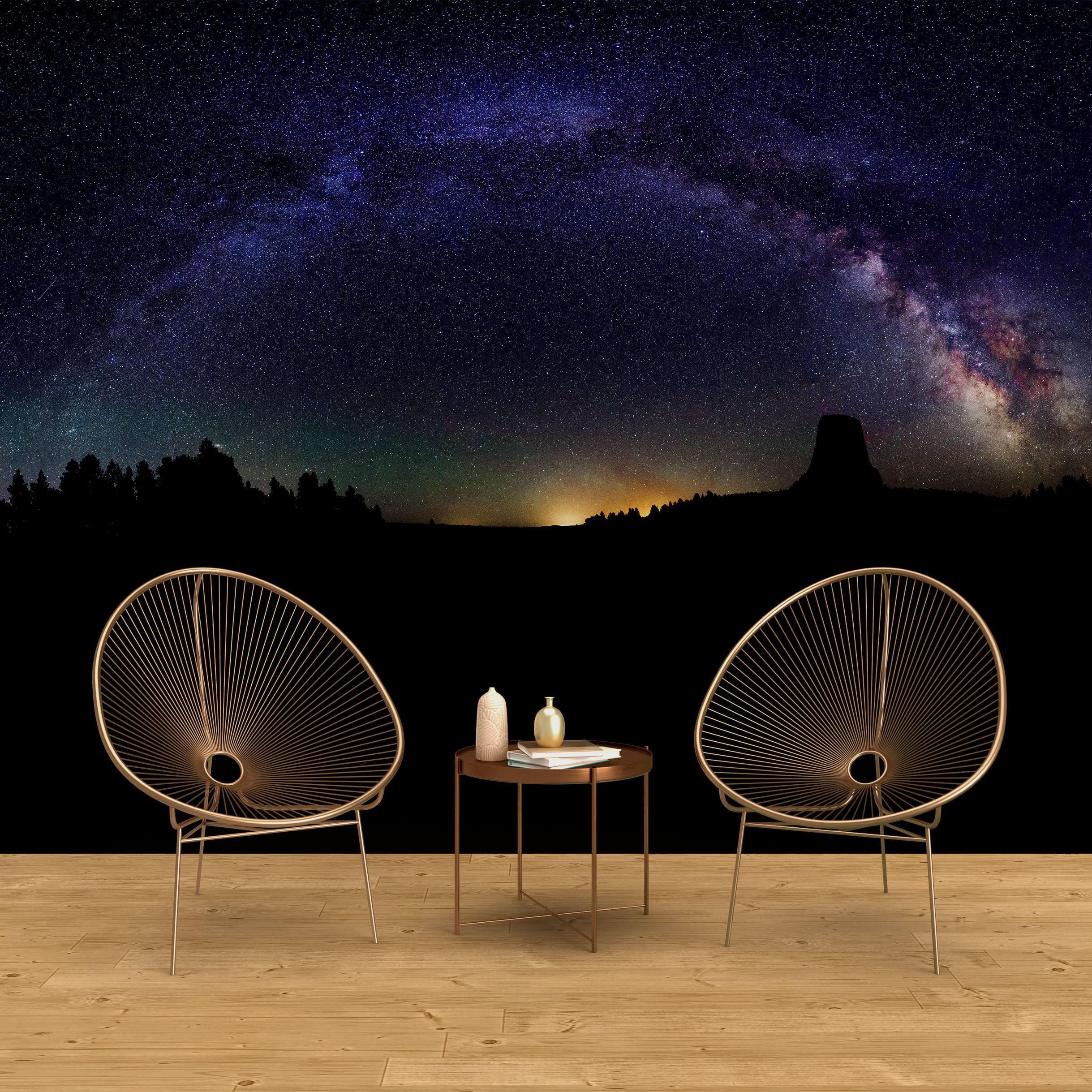 Mural de pared con estrellas de la Vía Láctea. Noche estrellada sobre el Parque Nacional Monumento de la Torre del Diablo. #6416