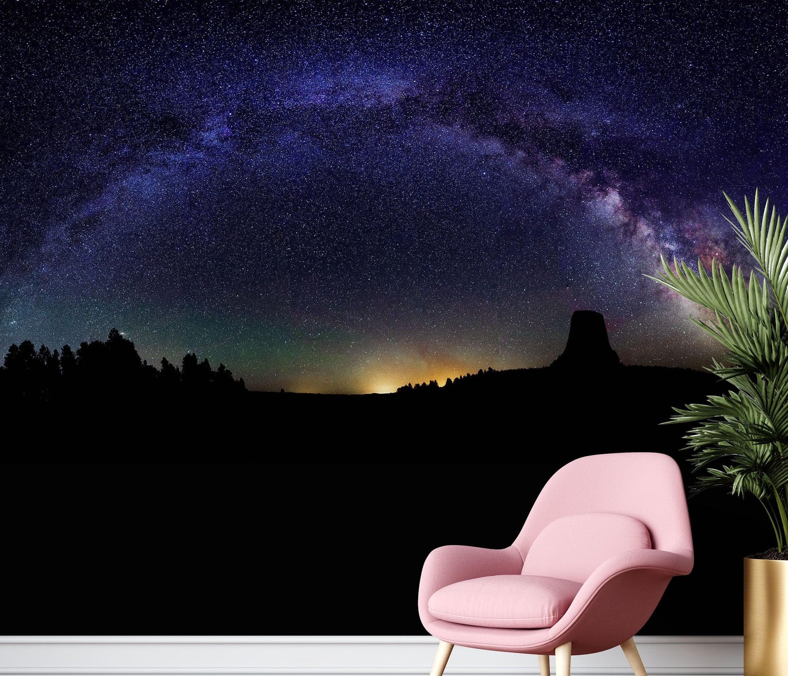 Mural de pared con estrellas de la Vía Láctea. Noche estrellada sobre el Parque Nacional Monumento de la Torre del Diablo. #6416