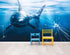 Mural de pared de vidrio con el ataque de un gran tiburón blanco en un acuario. Papel tapiz autoadhesivo. #6424