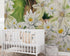 Mural de pared con flores botánicas. Ilustración a lápiz de color de un jardín de flores. Papel tapiz autoadhesivo. Flores botánicas del paraíso y hojas sobre fondo negro. #6426