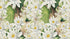 Mural de pared con flores botánicas. Ilustración a lápiz de color de un jardín de flores. Papel tapiz autoadhesivo. Flores botánicas del paraíso y hojas sobre fondo negro. #6426