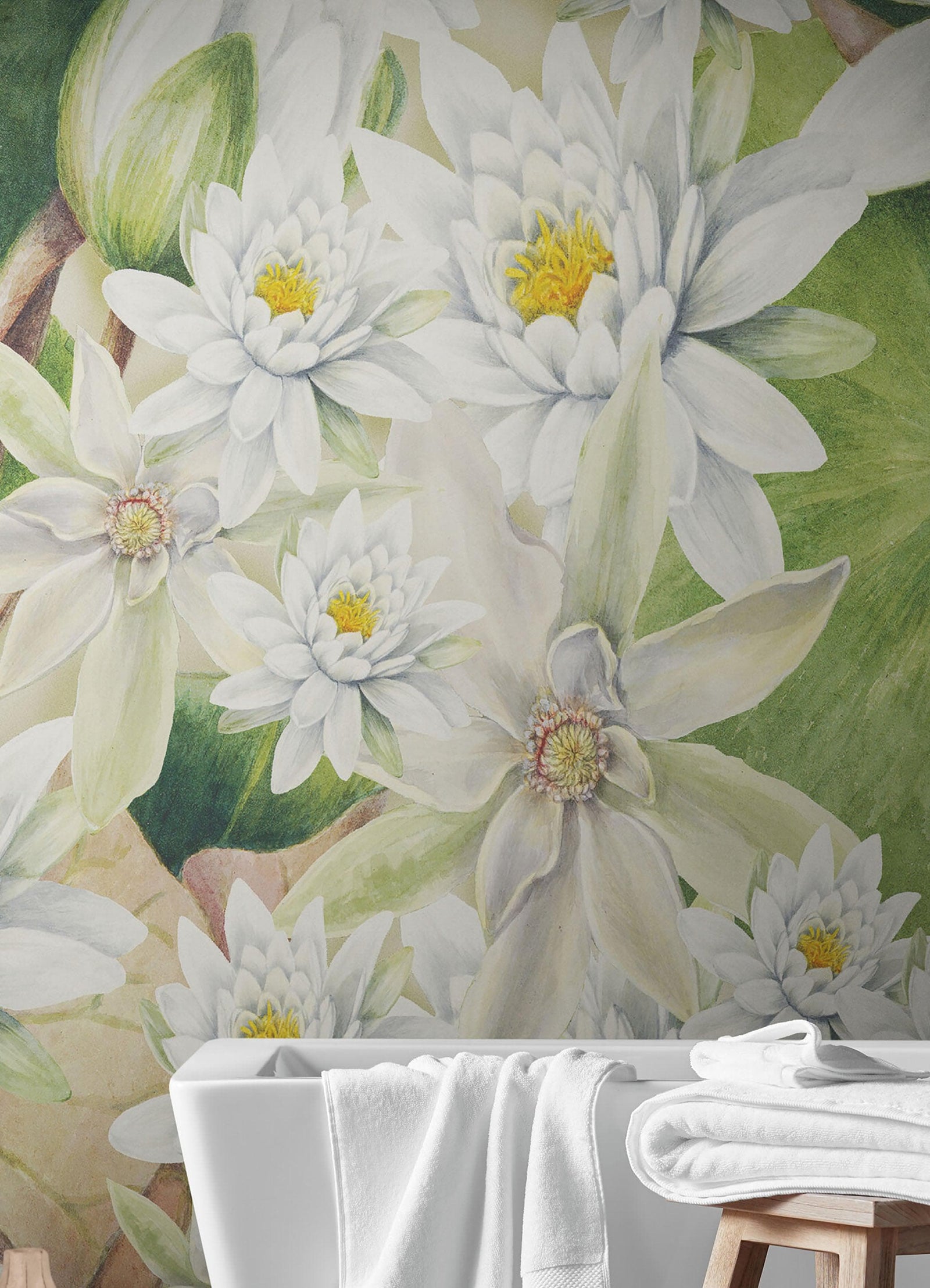Mural de pared con flores botánicas. Ilustración a lápiz de color de un jardín de flores. Papel tapiz autoadhesivo. Flores botánicas del paraíso y hojas sobre fondo negro. #6426