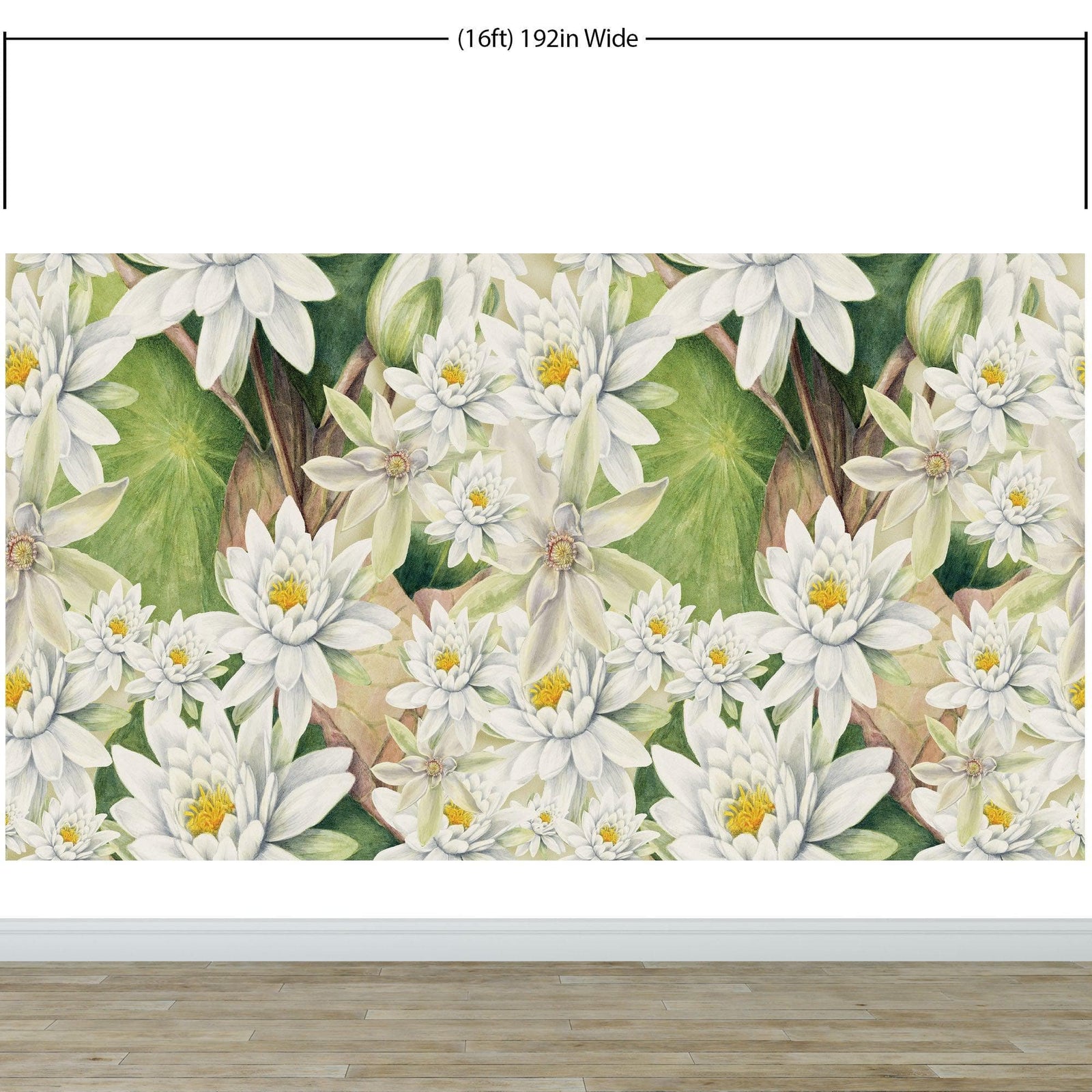 Mural de pared con flores botánicas. Ilustración a lápiz de color de un jardín de flores. Papel tapiz autoadhesivo. Flores botánicas del paraíso y hojas sobre fondo negro. #6426