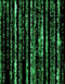 Mural de pared con líneas de código en estilo Matrix de computadora. Decoración de ciencia ficción. #6430