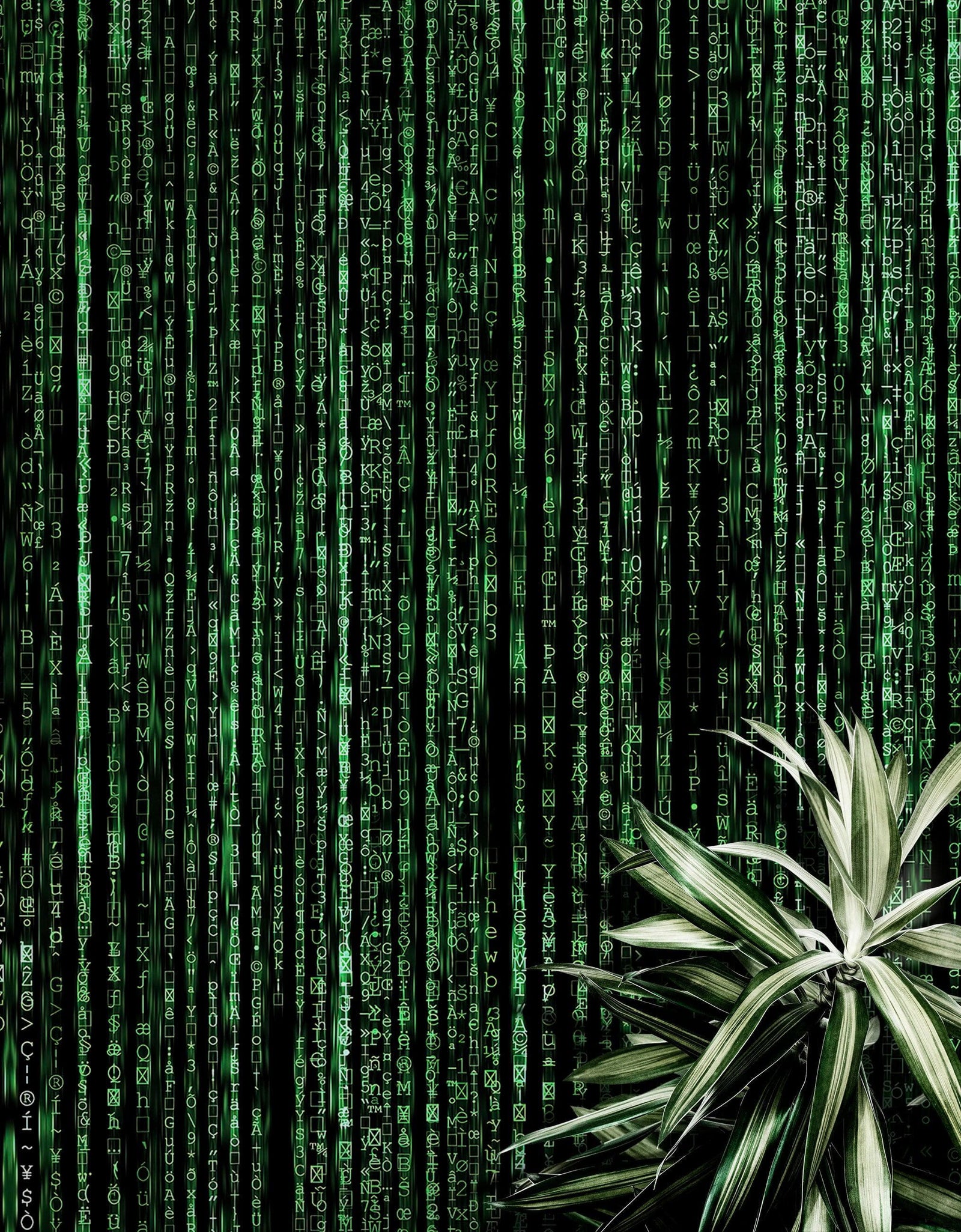 Mural de pared con líneas de código en estilo Matrix de computadora. Decoración de ciencia ficción. #6430