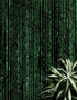 Mural de pared con líneas de código en estilo Matrix de computadora. Decoración de ciencia ficción. #6430