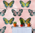 Mural de pared con estampado de mariposas grandes sobre fondo rosa. Decoración para dormitorio, habitación infantil y hogar. Papel tapiz autoadhesivo. N.º 6441