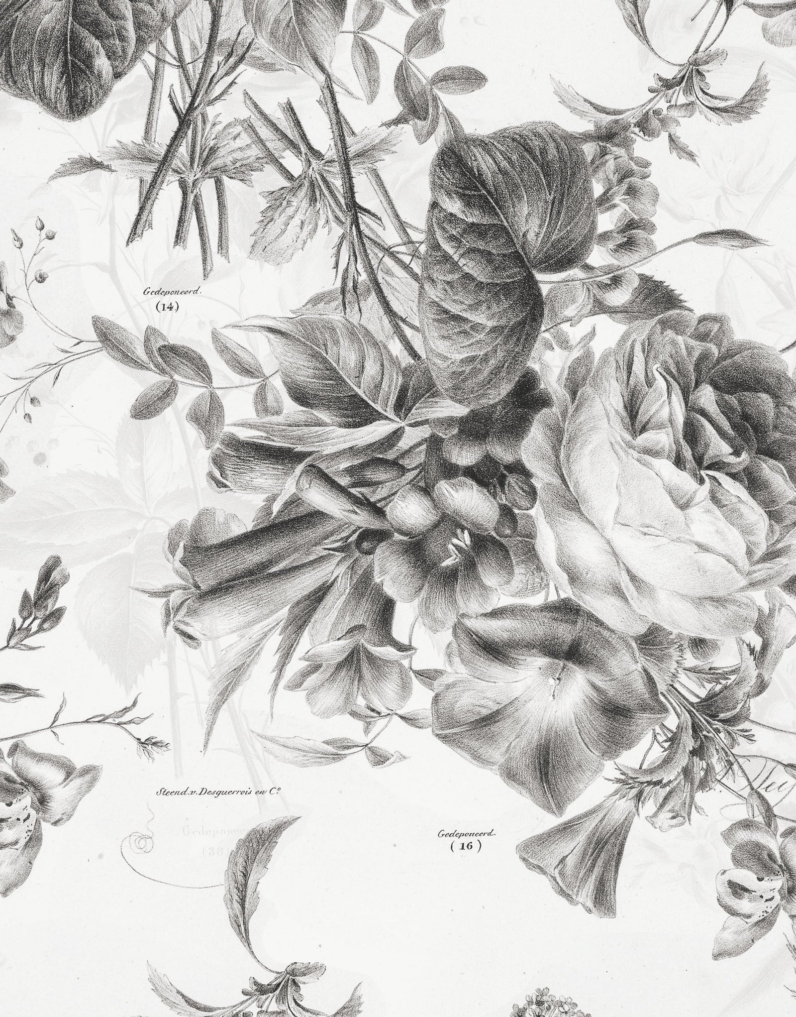Mural de pared con ilustración de flores vintage. Papel pintado autoadhesivo en blanco y negro. N.º 6443