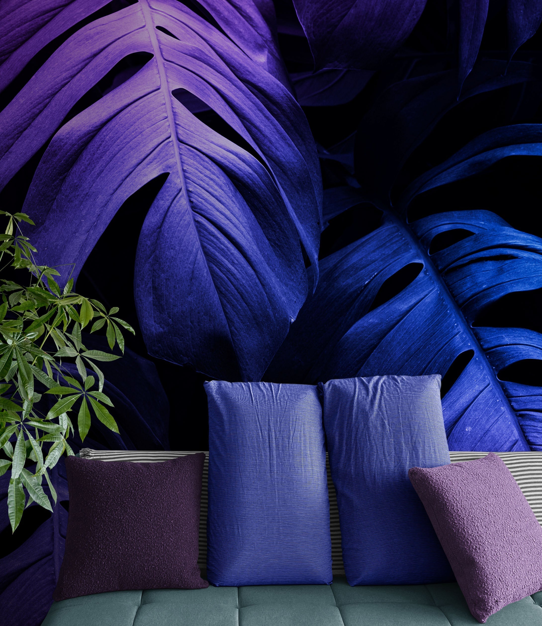 Mural de pared con hojas azules y moradas tropicales sobre fondo oscuro n.º 6445 