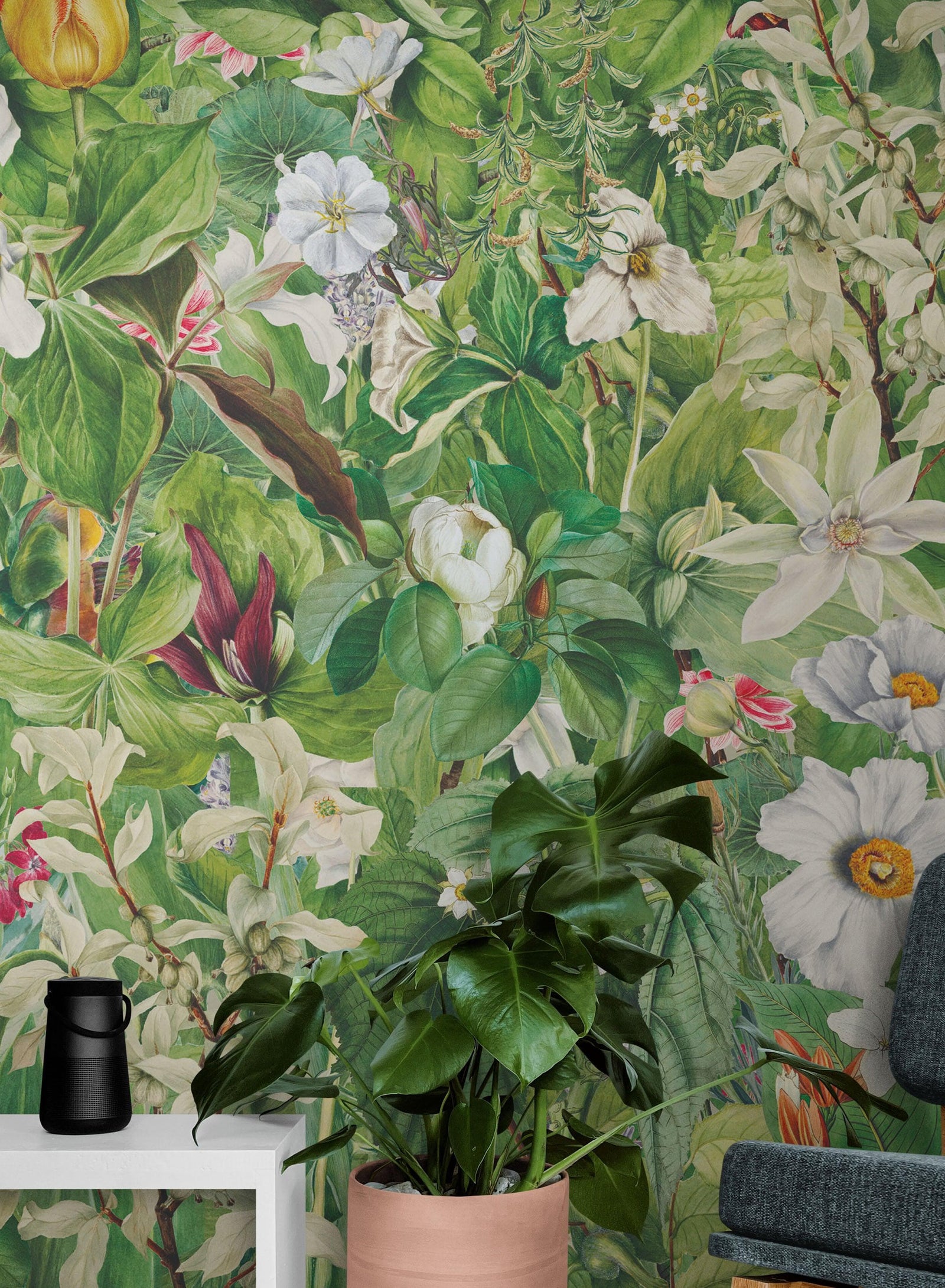 Mural de pared con jardín botánico y vegetación. Ilustración con lápices de colores de papel tapiz despegable y adhesivo de jardín de flores. Fondo de hojas y flores botánicas de selva tropical. #6449