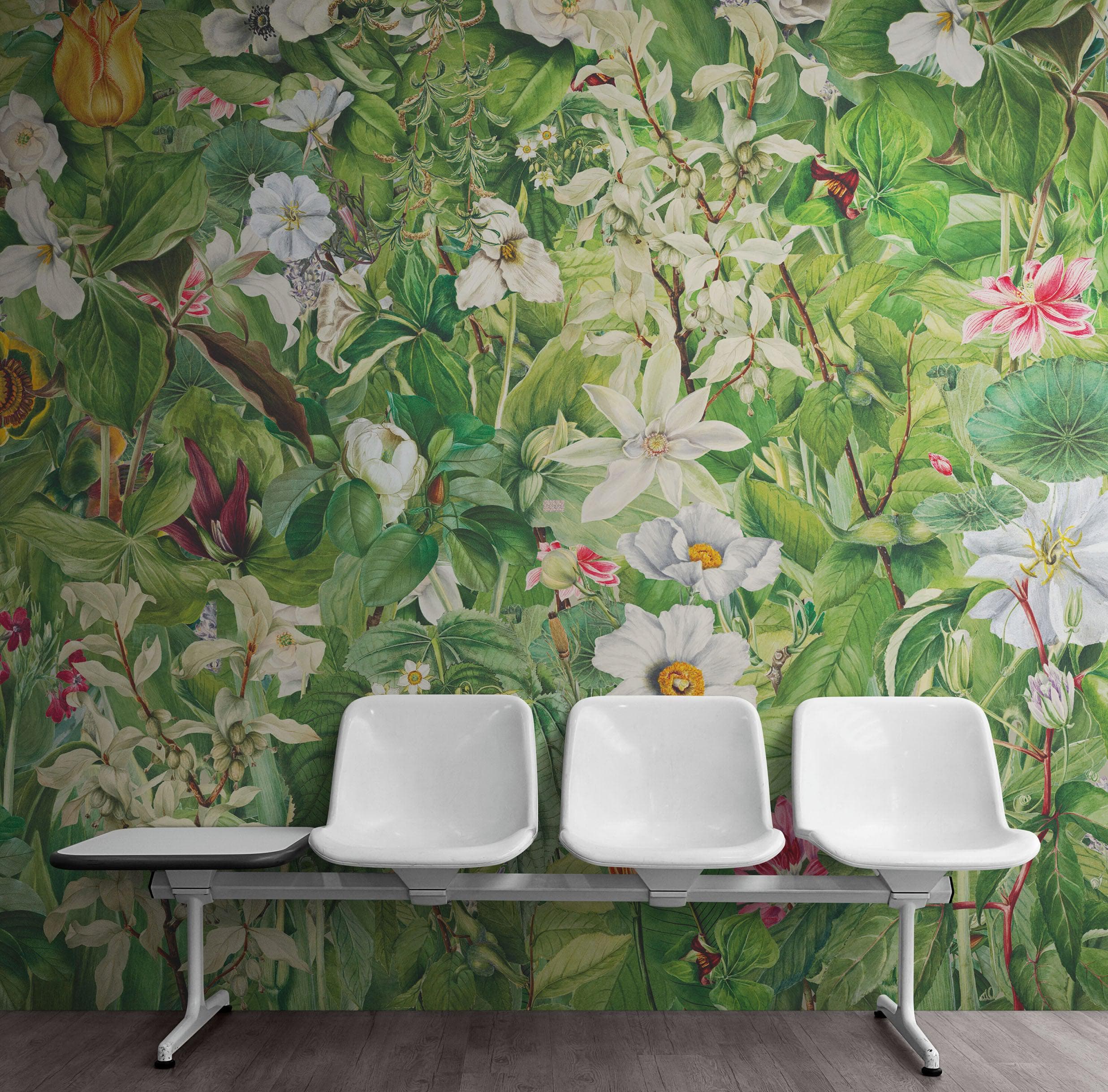 Mural de pared con jardín botánico y vegetación. Ilustración con lápices de colores de papel tapiz despegable y adhesivo de jardín de flores. Fondo de hojas y flores botánicas de selva tropical. #6449