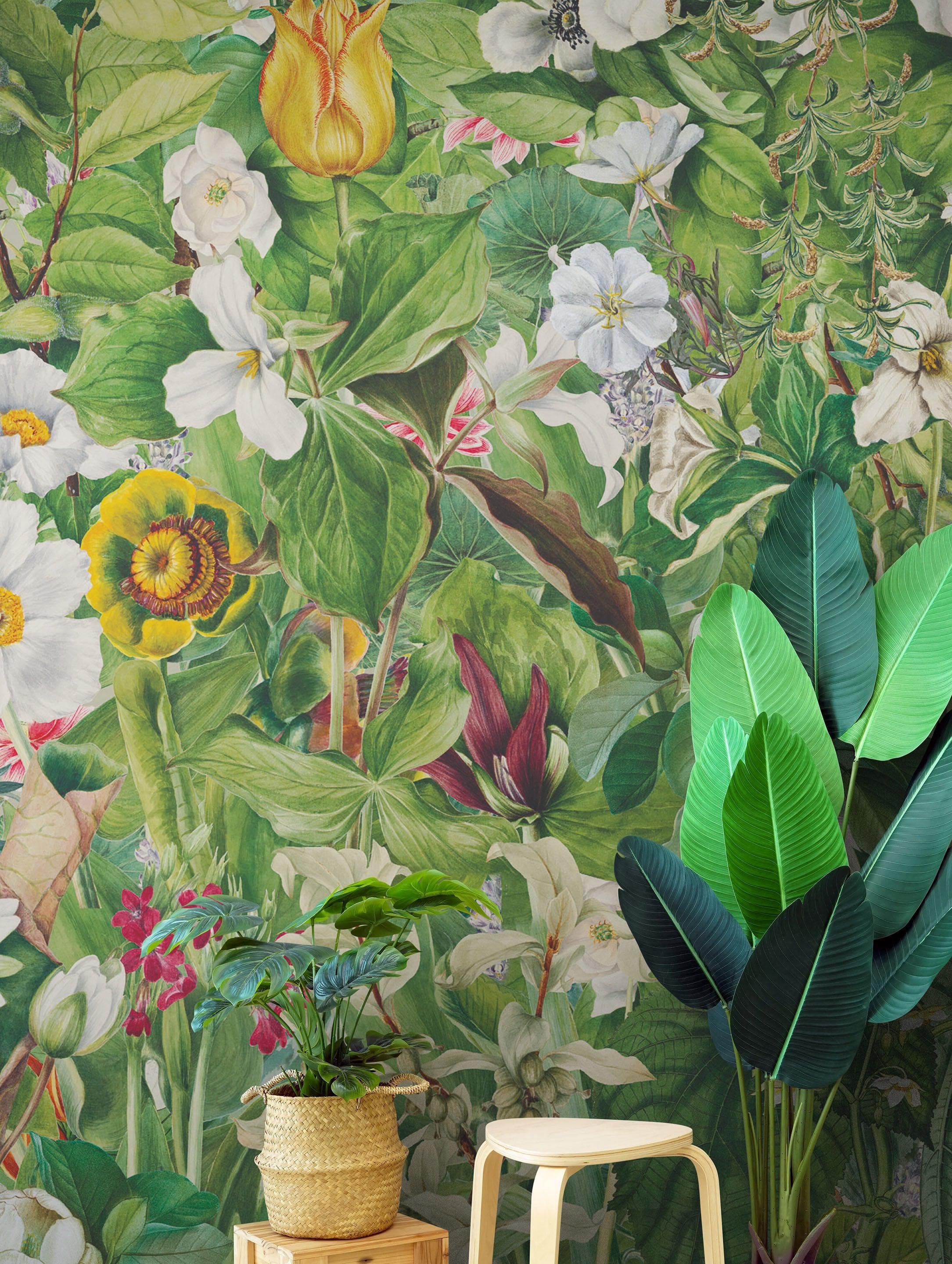 Mural de pared con jardín botánico y vegetación. Ilustración con lápices de colores de papel tapiz despegable y adhesivo de jardín de flores. Fondo de hojas y flores botánicas de selva tropical. #6449