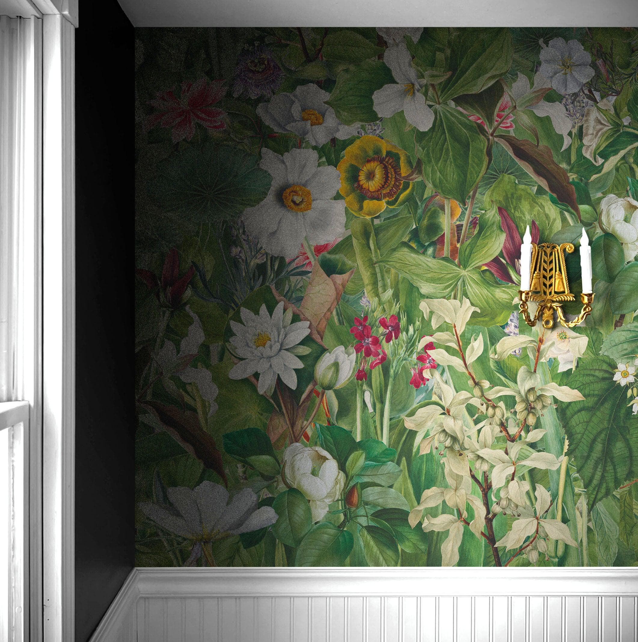Mural de pared con jardín botánico y vegetación. Ilustración con lápices de colores de papel tapiz despegable y adhesivo de jardín de flores. Fondo de hojas y flores botánicas de selva tropical. #6449