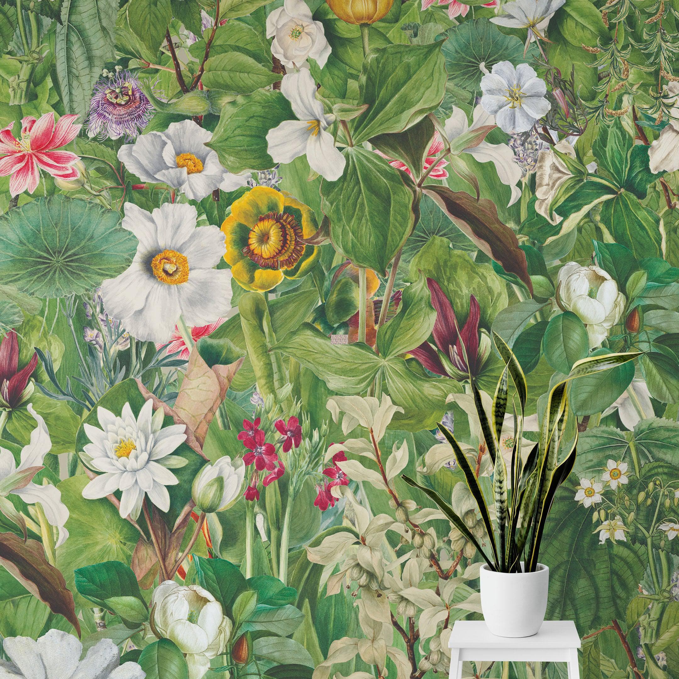 Mural de pared con jardín botánico y vegetación. Ilustración con lápices de colores de papel tapiz despegable y adhesivo de jardín de flores. Fondo de hojas y flores botánicas de selva tropical. #6449