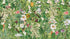 Mural de pared con jardín botánico y vegetación. Ilustración con lápices de colores de papel tapiz despegable y adhesivo de jardín de flores. Fondo de hojas y flores botánicas de selva tropical. #6449