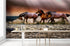Mural de pared con caballos salvajes galopando en la playa. Papel pintado autoadhesivo. #6458