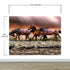 Mural de pared con caballos salvajes galopando en la playa. Papel pintado autoadhesivo. #6458