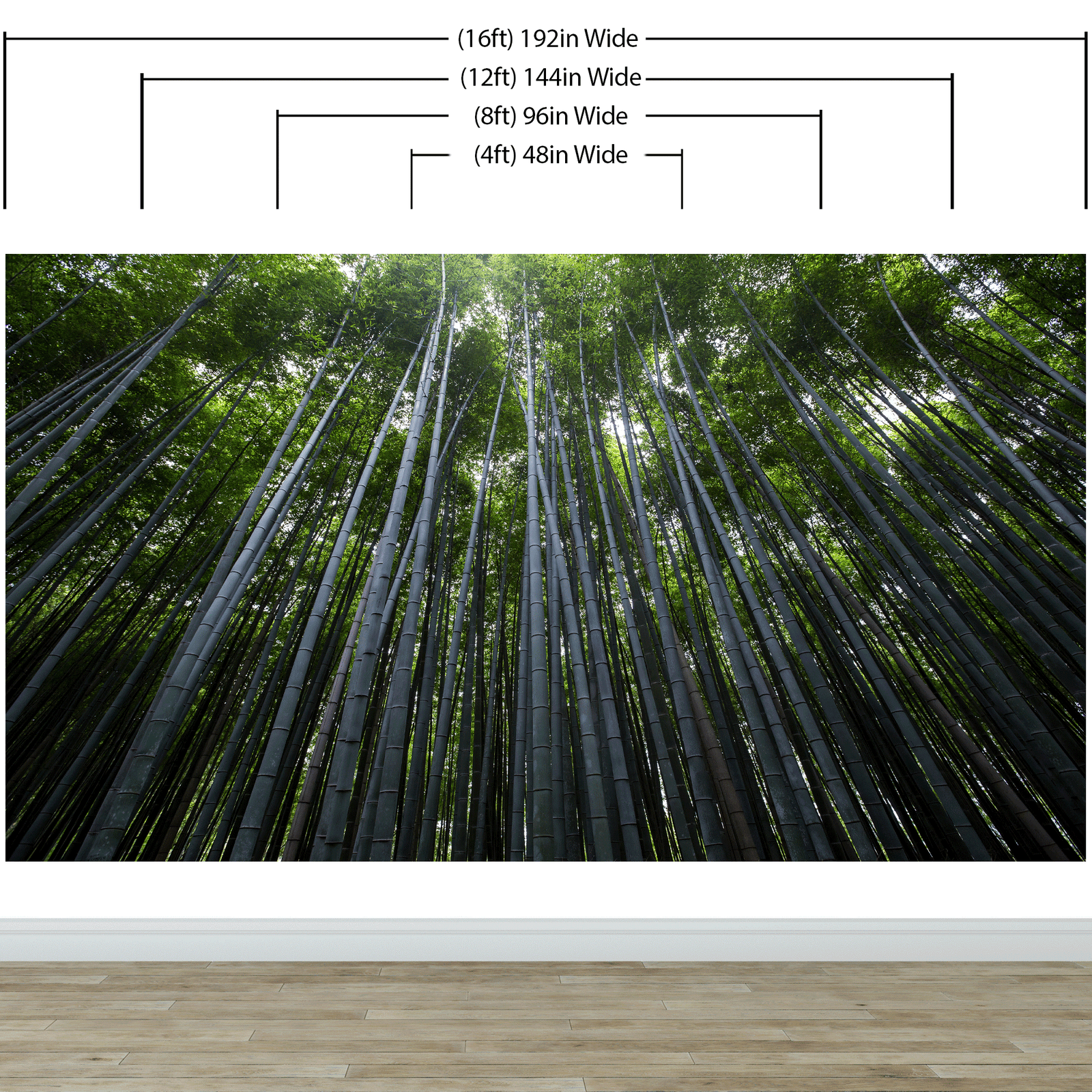 Mural de pared con un bosque de bambúes altos. Fondo de pantalla de paz, serenidad y zen. #6463