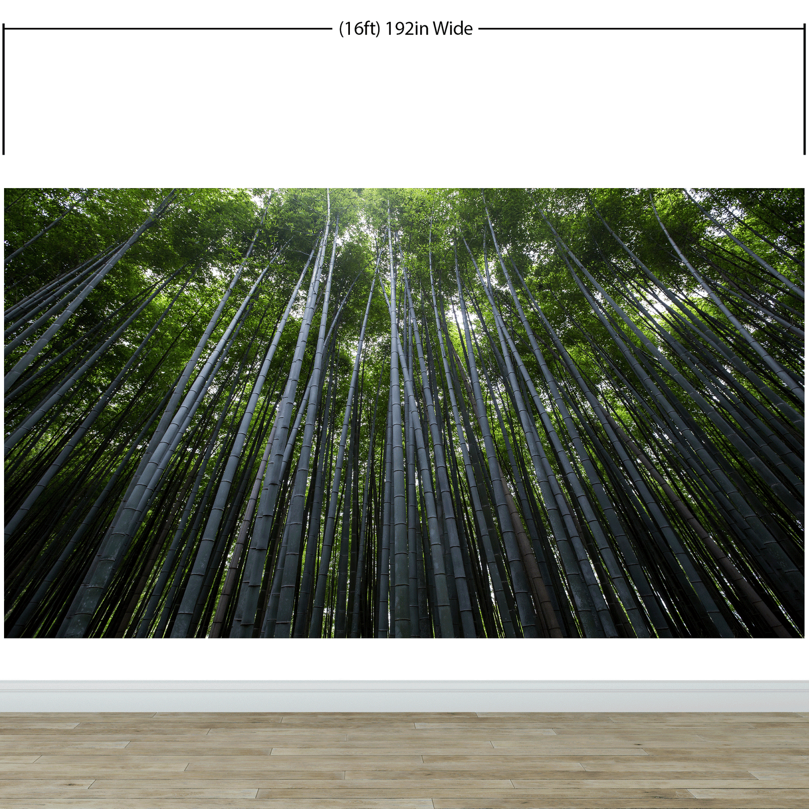 Mural de pared con un bosque de bambúes altos. Fondo de pantalla de paz, serenidad y zen. #6463