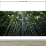 Mural de pared con un bosque de bambúes altos. Fondo de pantalla de paz, serenidad y zen. #6463