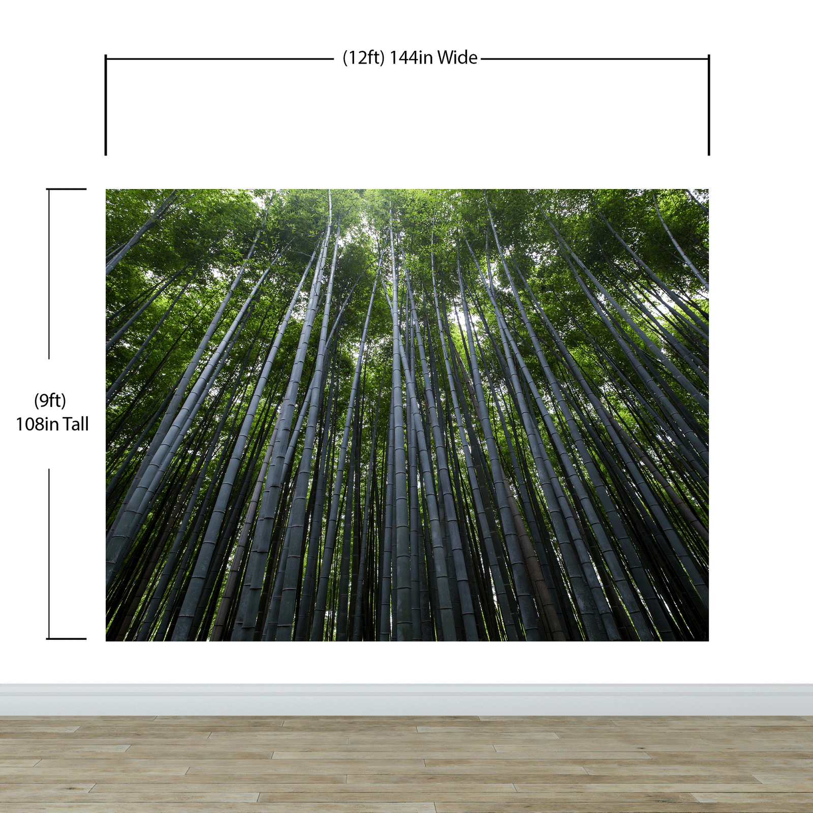 Mural de pared con un bosque de bambúes altos. Fondo de pantalla de paz, serenidad y zen. #6463