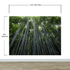 Mural de pared con un bosque de bambúes altos. Fondo de pantalla de paz, serenidad y zen. #6463