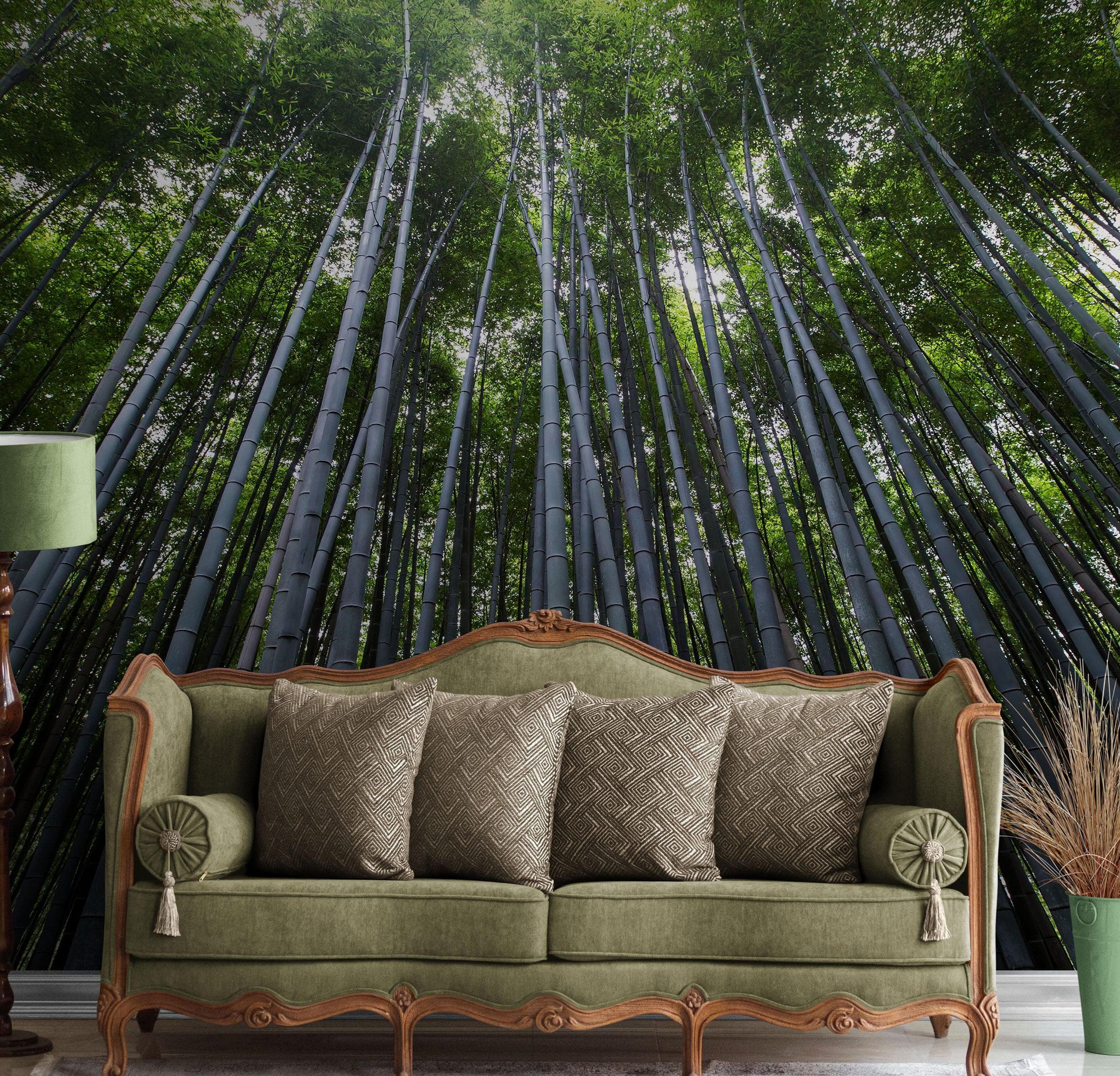 Mural de pared con un bosque de bambúes altos. Fondo de pantalla de paz, serenidad y zen. #6463