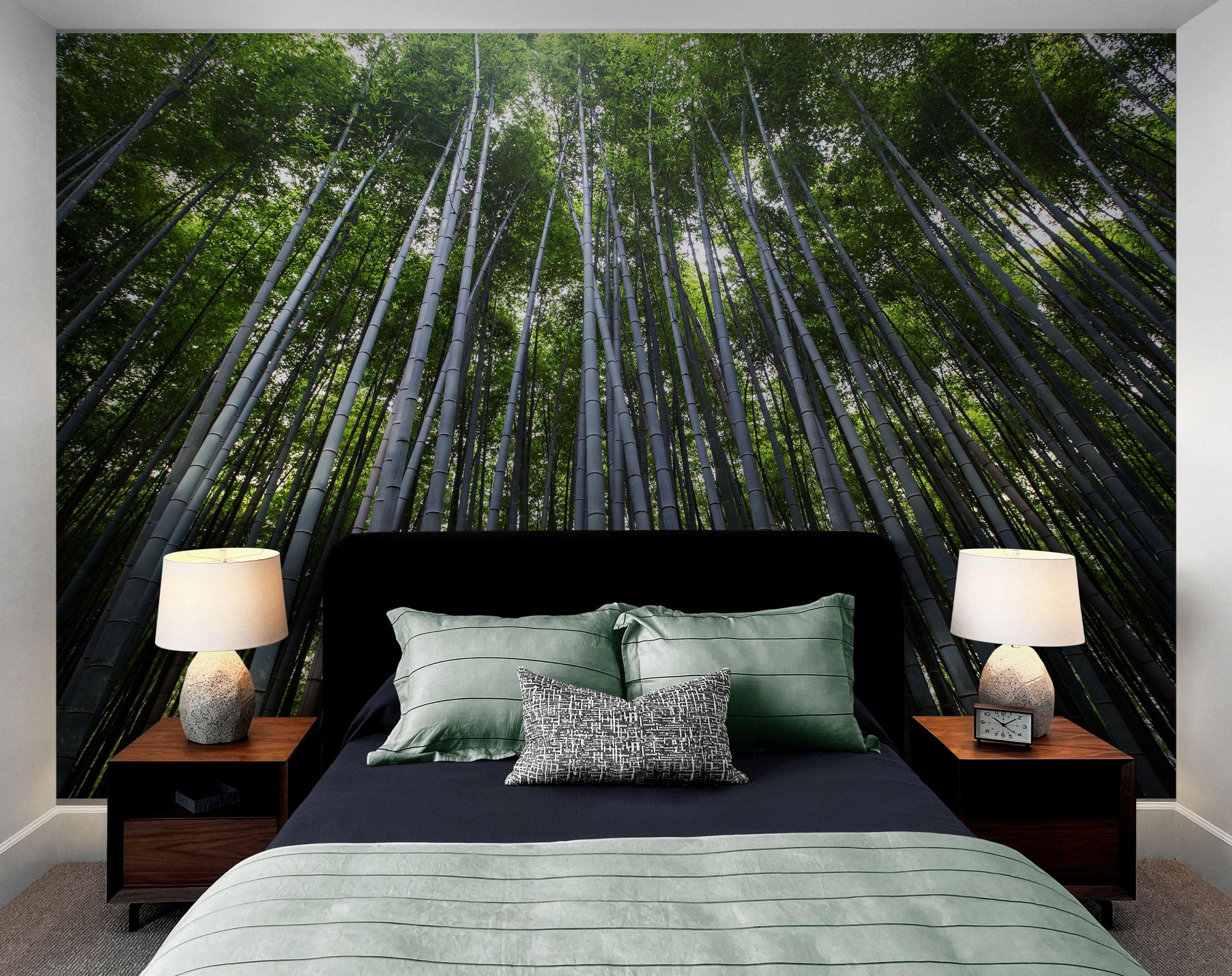 Mural de pared con un bosque de bambúes altos. Fondo de pantalla de paz, serenidad y zen. #6463