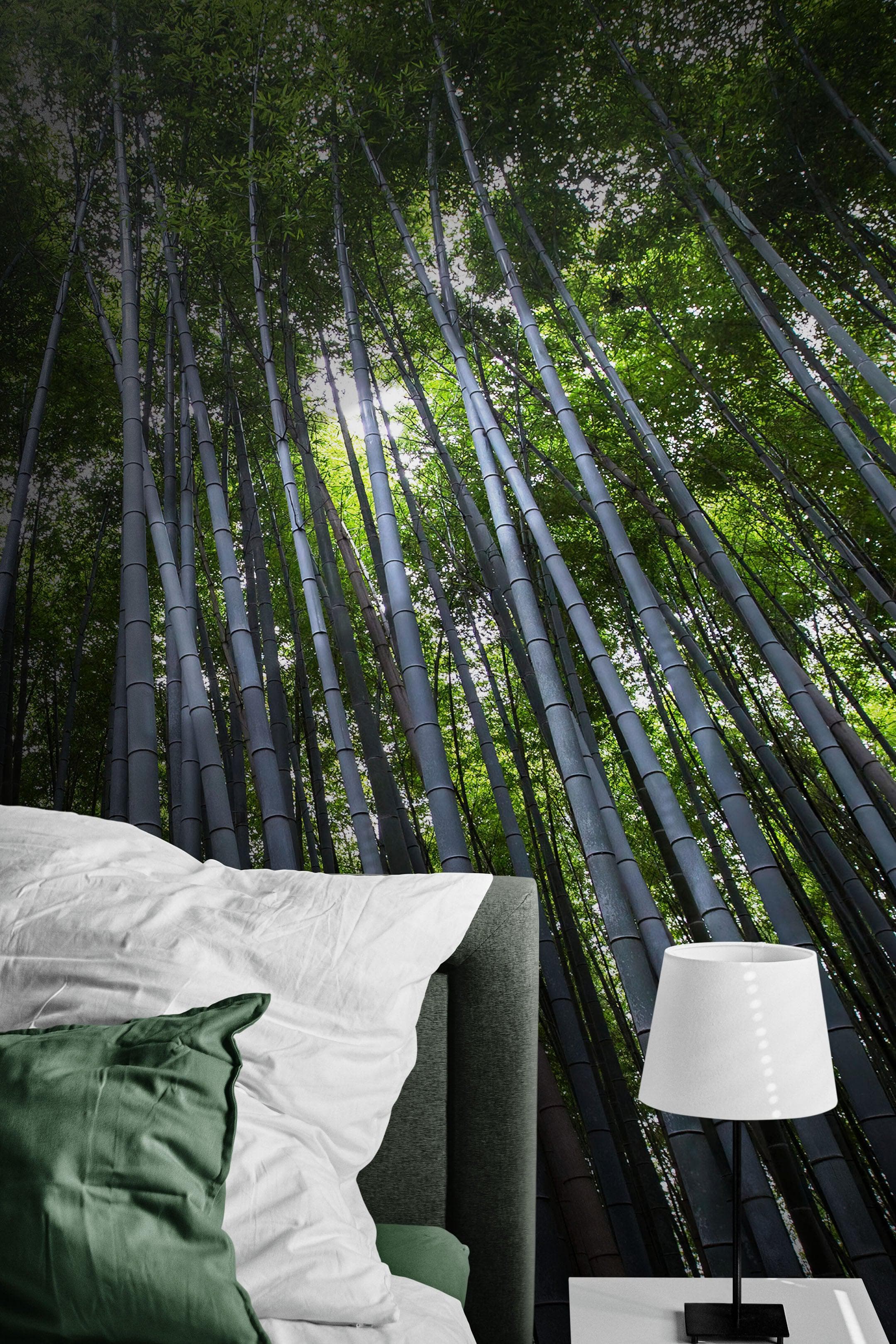 Mural de pared con un bosque de bambúes altos. Fondo de pantalla de paz, serenidad y zen. #6463