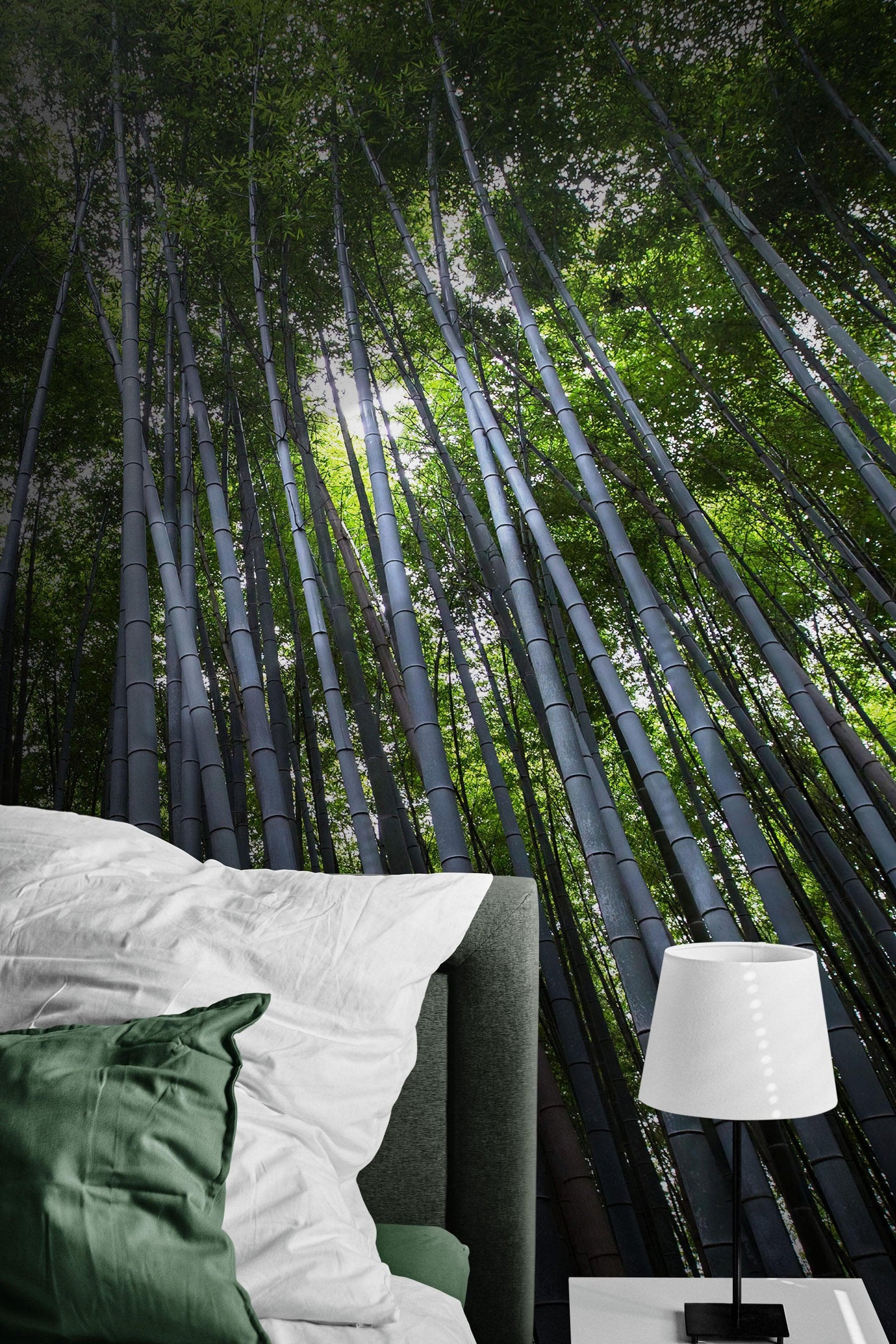 Mural de pared con un bosque de bambúes altos. Fondo de pantalla de paz, serenidad y zen. #6463