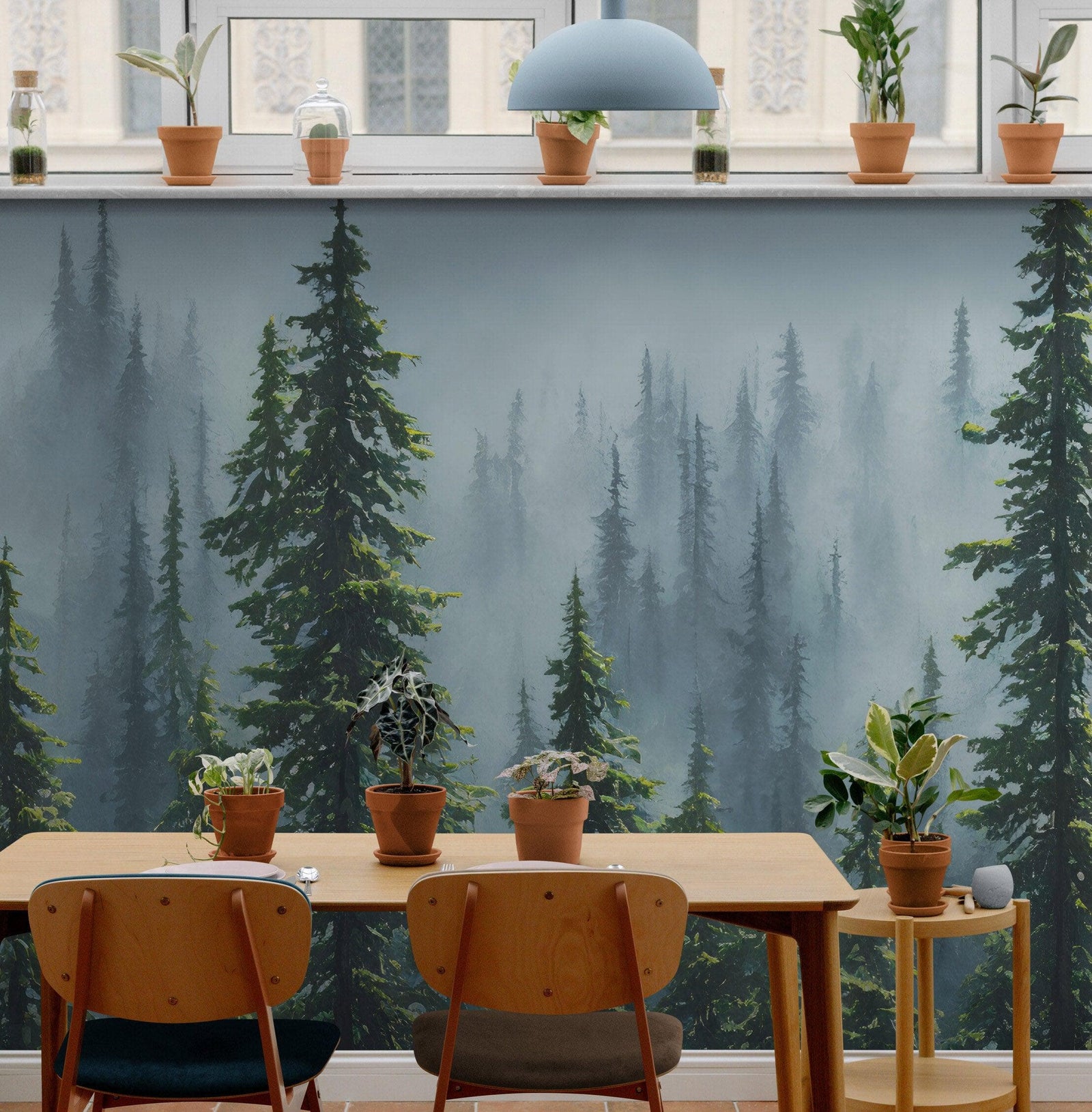 Mural de pared con naturaleza, selva tropical, paisaje de bosque brumoso. #6494 