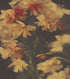 Fondo de pantalla botánico vintage con flores amarillas y fondo oscuro. #6497 