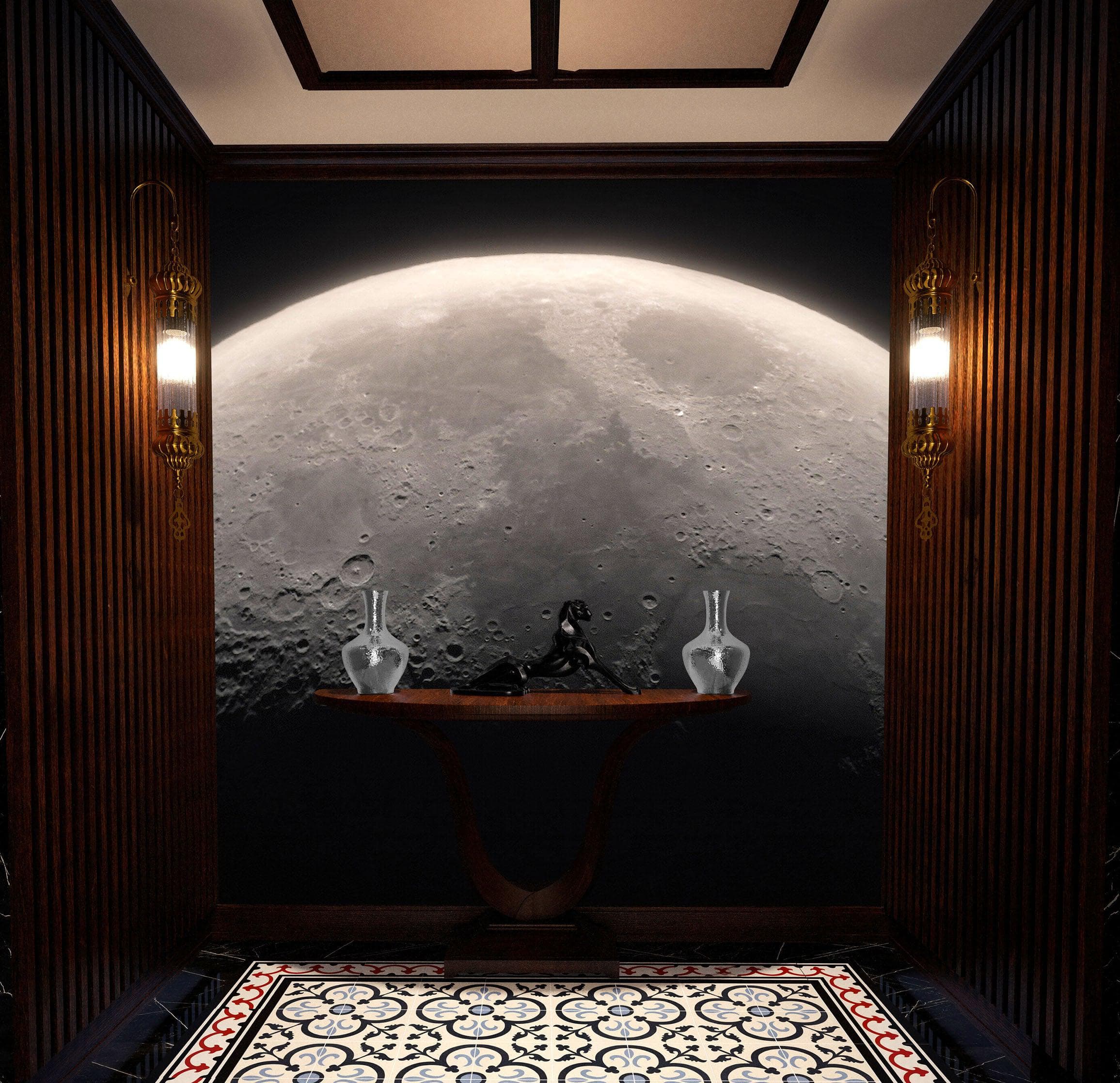 Papel tapiz de luna. Decoración de pared en blanco y negro. #6532 