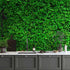 Mural de papel tapiz con fondo de hierba verde. #6551 