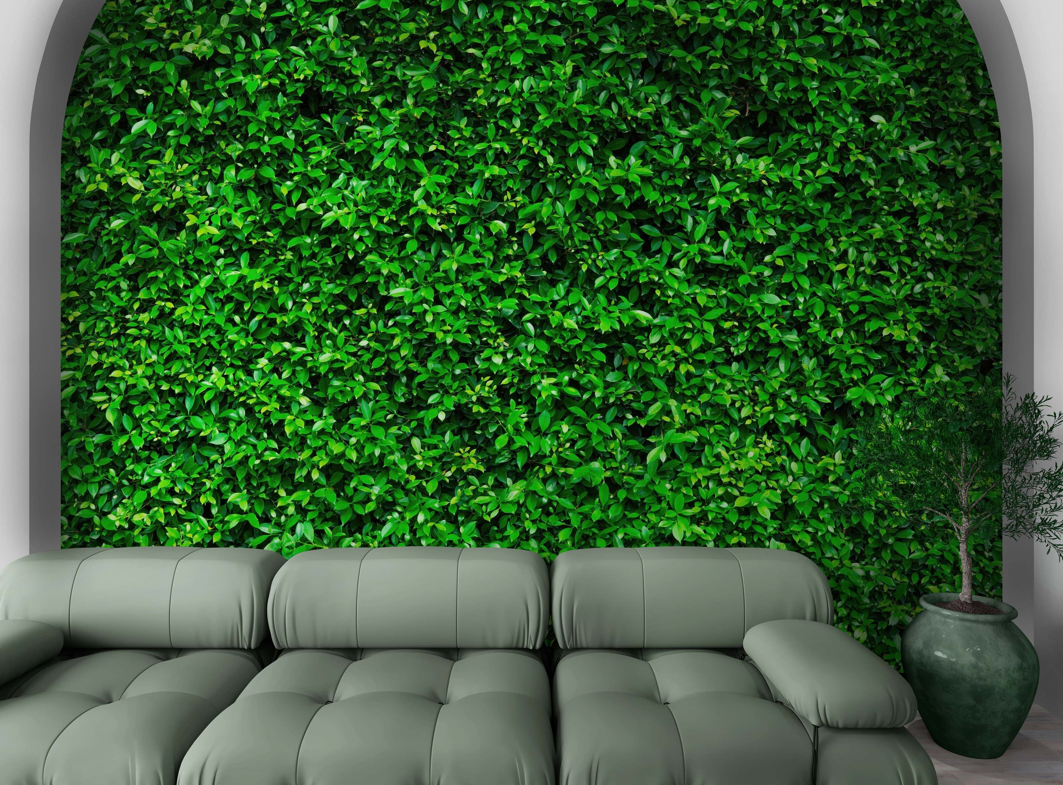 Mural de papel tapiz con fondo de hierba verde. #6551 
