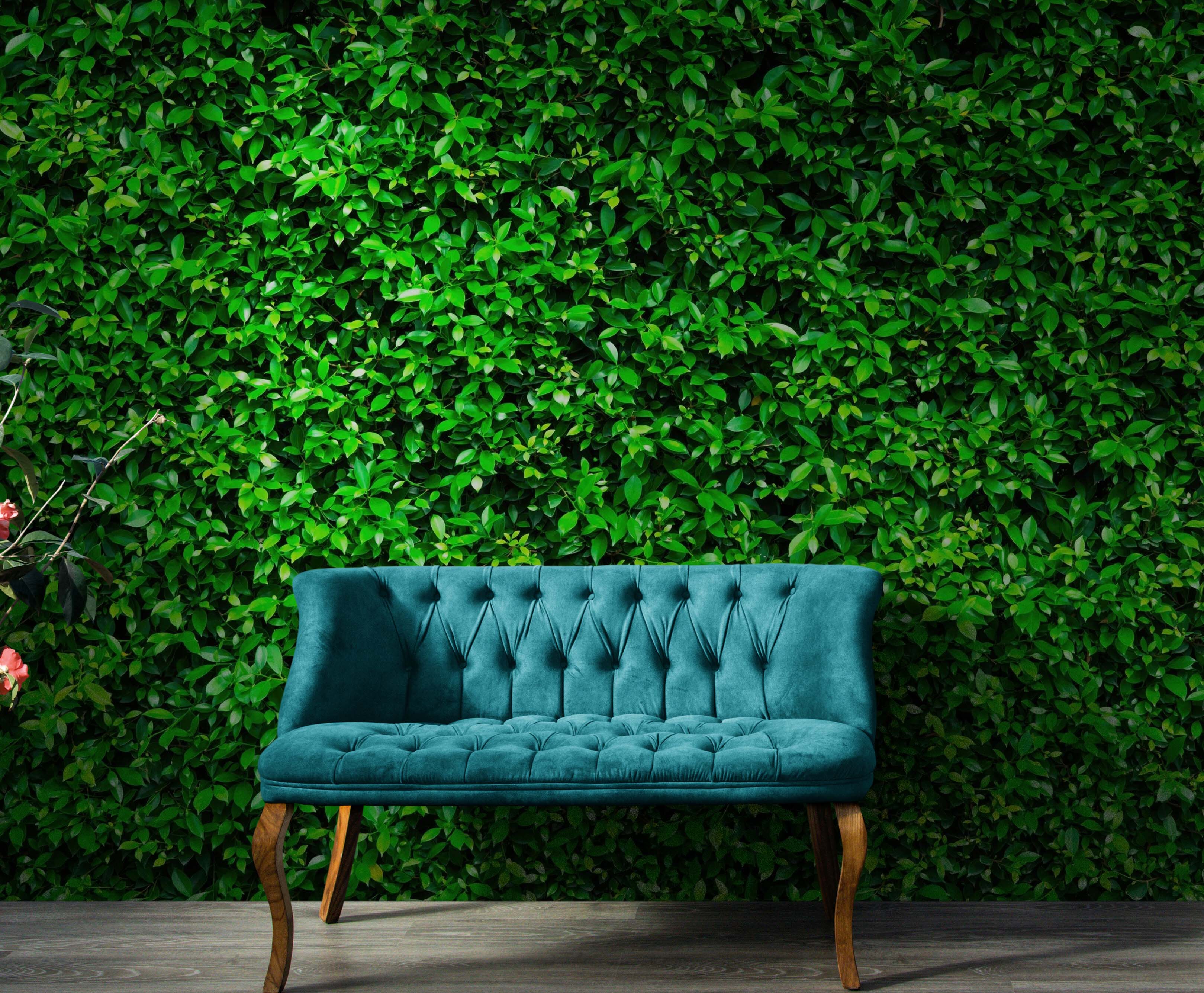 Mural de papel tapiz con fondo de hierba verde. #6551 