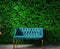 Mural de papel tapiz con fondo de hierba verde. #6551 