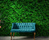 Mural de papel tapiz con fondo de hierba verde. #6551 
