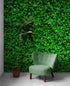 Mural de papel tapiz con fondo de hierba verde. #6551 