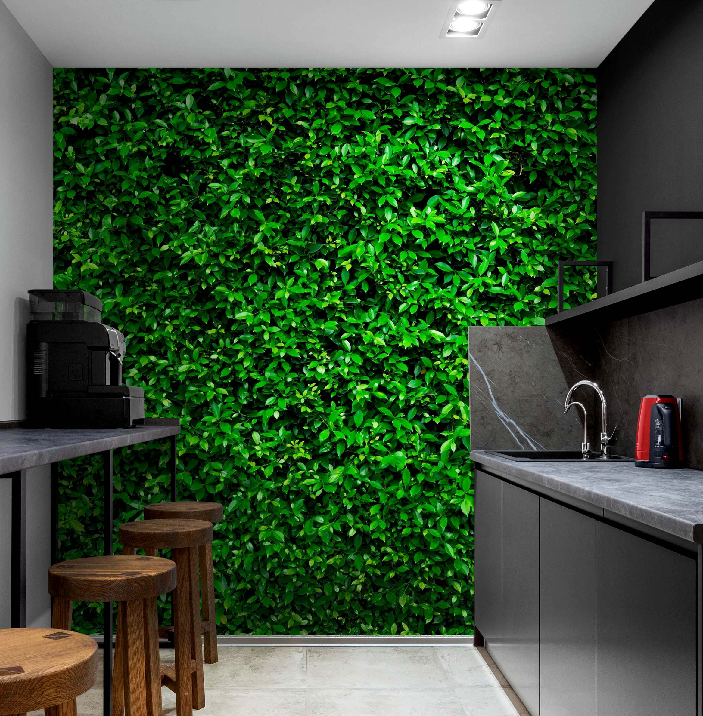 Mural de papel tapiz con fondo de hierba verde. #6551 