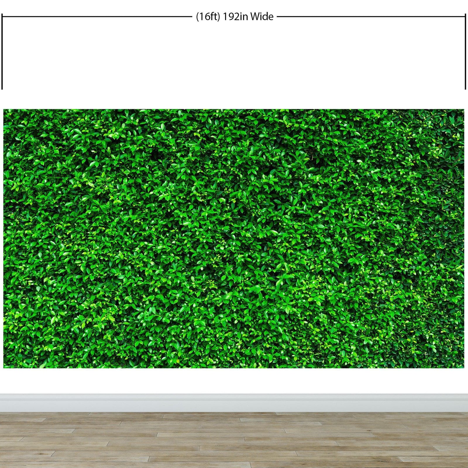 Mural de papel tapiz con fondo de hierba verde. #6551 
