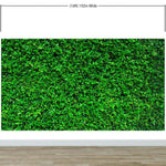Mural de papel tapiz con fondo de hierba verde. #6551 