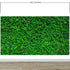Mural de papel tapiz con fondo de hierba verde. #6551 