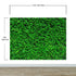 Mural de papel tapiz con fondo de hierba verde. #6551 