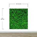 Mural de papel tapiz con fondo de hierba verde. #6551 